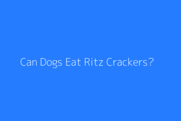 Featured Can Dogs Eat Ritz Crackers 2